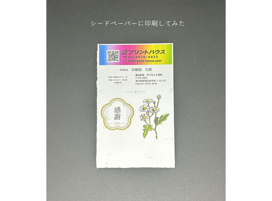 种子纸