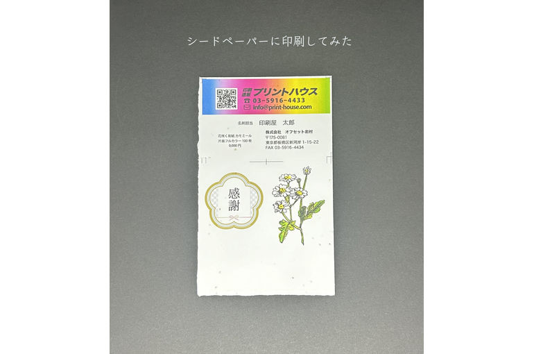 กระดาษเมล็ด