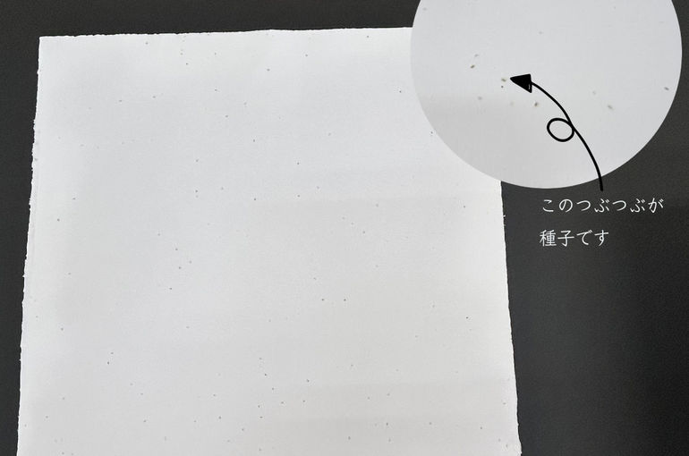 กระดาษเมล็ด